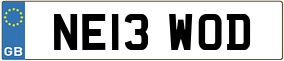 Trailer License Plate